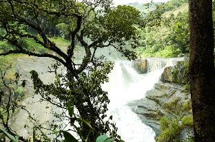 the cascade munnar