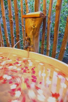 raja ampat dive lodge