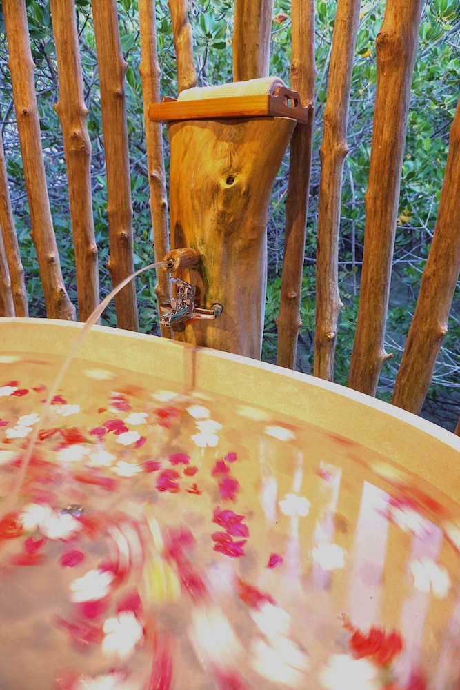 raja ampat dive lodge