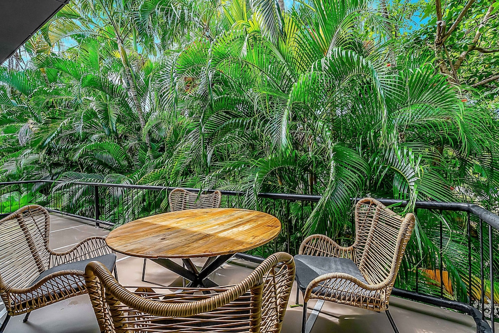 the palms at palm cove