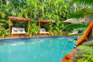the palms at palm cove