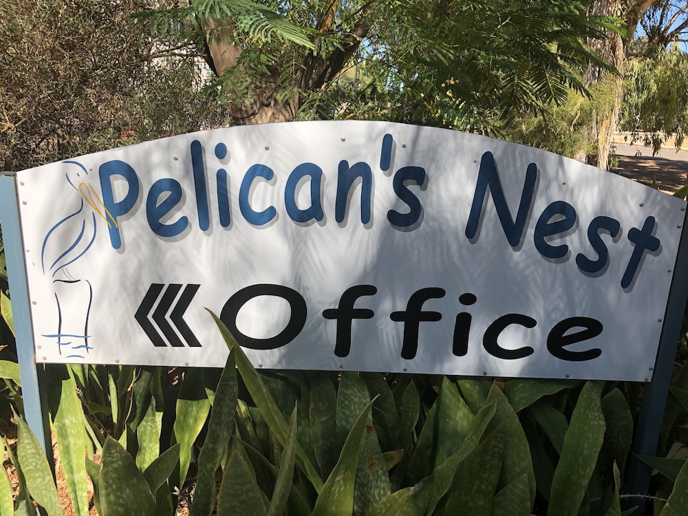 pelicans nest