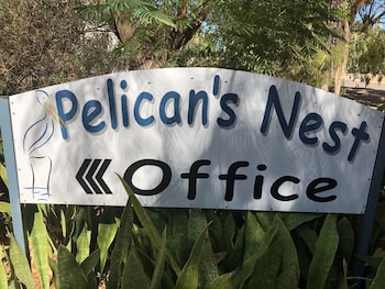 pelicans nest