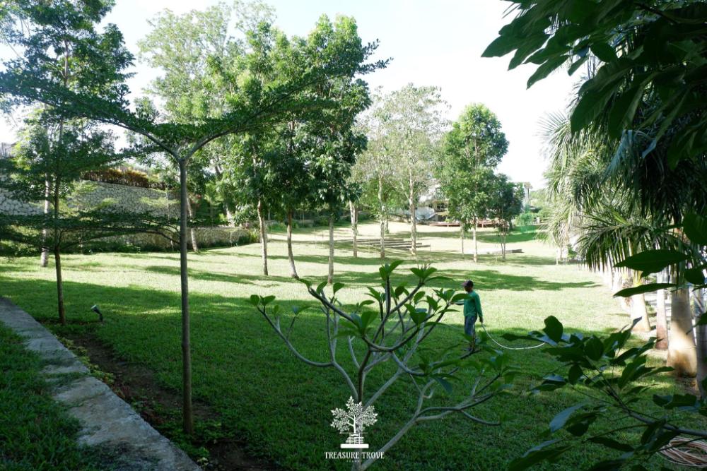 treasure trove resort