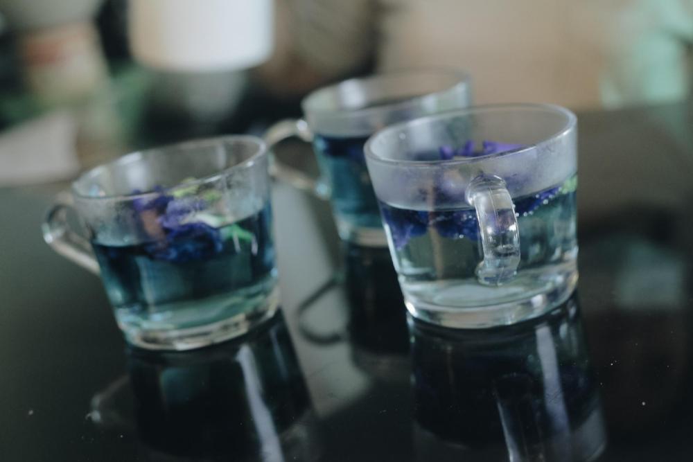 treasure trove resort