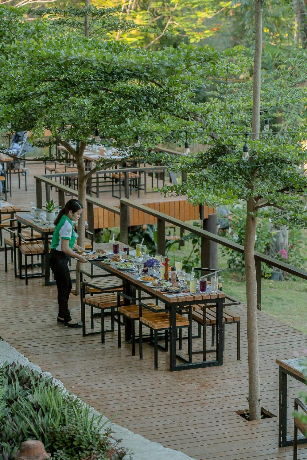 treasure trove resort