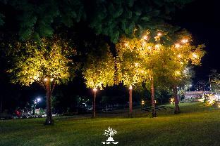 treasure trove resort