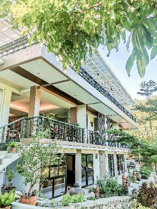 treasure trove resort