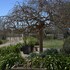 milawa muscat retreat bandb
