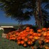 milawa muscat retreat bandb