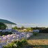 milawa muscat retreat bandb