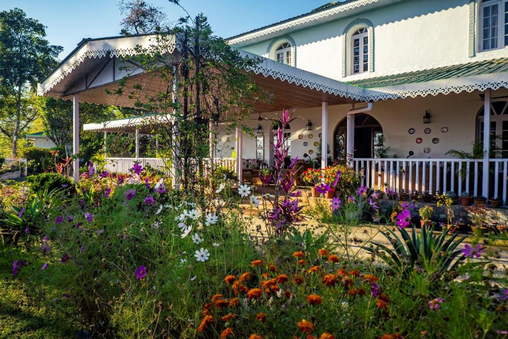 eco adventure resorts the temi bungalow