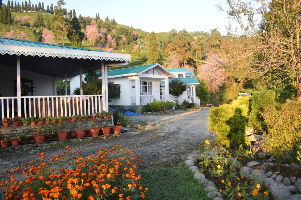 eco adventure resorts the temi bungalow