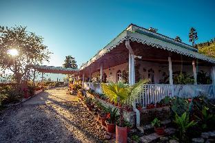 eco adventure resorts the temi bungalow