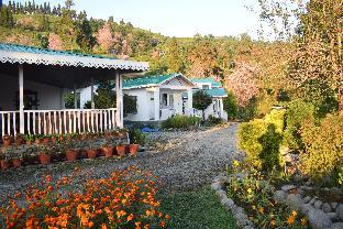 eco adventure resorts the temi bungalow