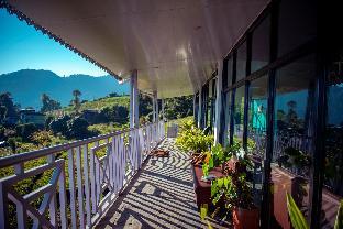 eco adventure resorts the temi bungalow