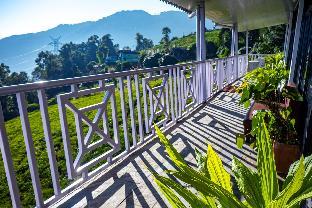 eco adventure resorts the temi bungalow