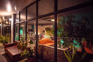 eco adventure resorts the temi bungalow