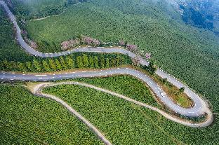 eco adventure resorts the temi bungalow