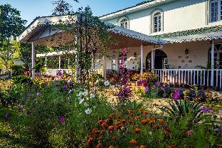 eco adventure resorts the temi bungalow