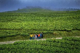 eco adventure resorts the temi bungalow