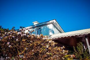 eco adventure resorts the temi bungalow