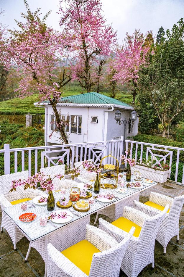 eco adventure resorts the temi bungalow