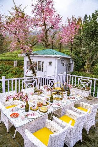 Eco Adventure Resorts The Temi Bungalow,Namchi>>Kalimpong,4 star