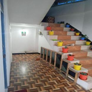 citrus boutique hotel