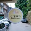 citrus boutique hotel