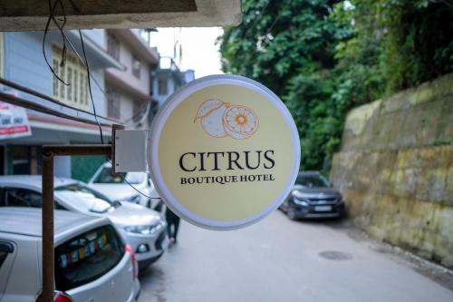 citrus boutique hotel