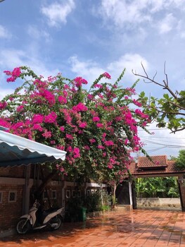 golden star villa hue