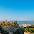 tropea