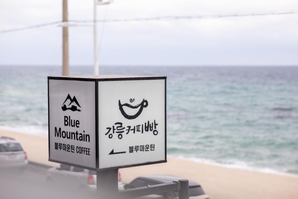 gangreung blue mountain pension