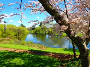 deloraine
