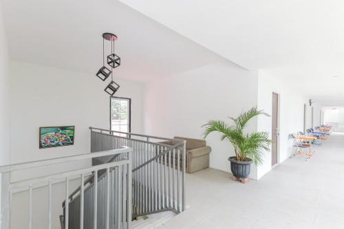 reddoorz near rsud banten serang