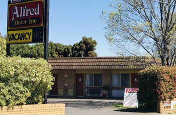 alfred motor inn