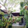 co living bali sweet home