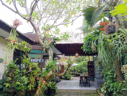 co living bali sweet home