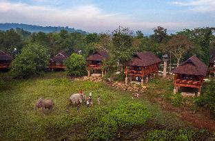 kingfisher ecolodge