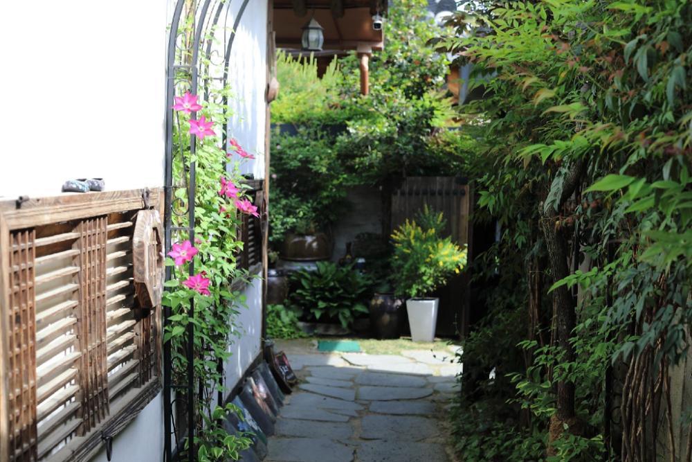 jeonju kotzari hanok