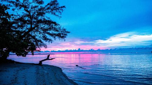 roka resort adult only