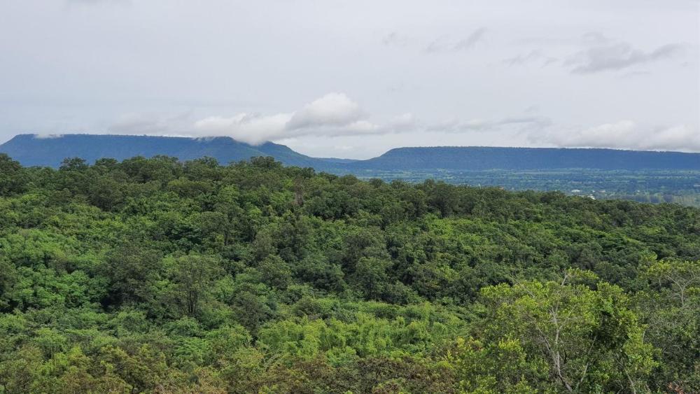 channgarm mountain view