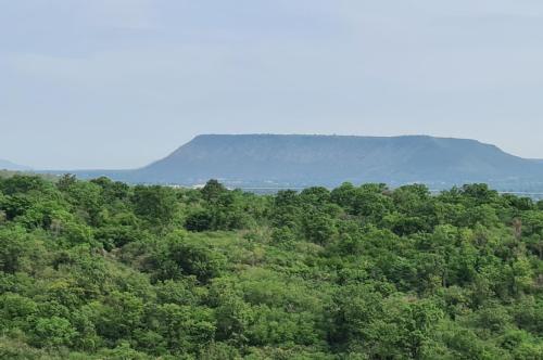 channgarm mountain view
