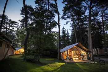 camping la pinede