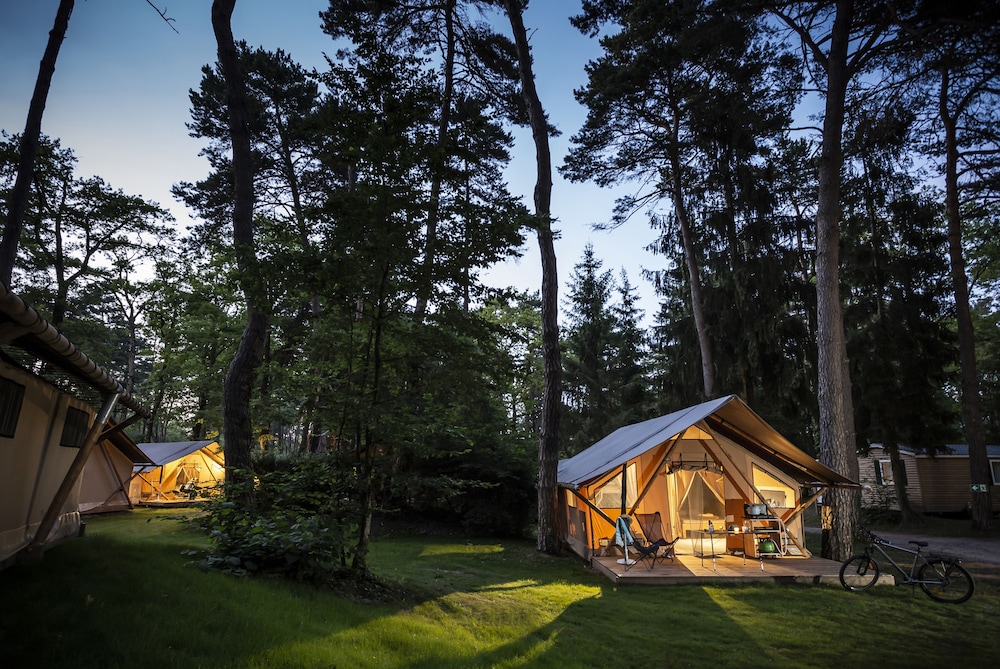 camping la pinede