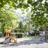camping la pinede