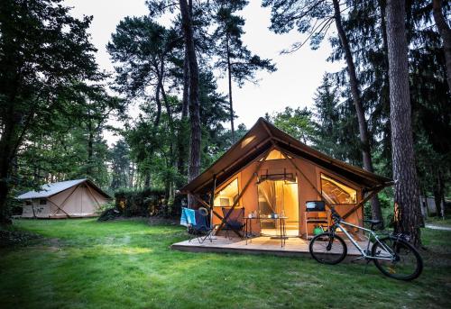 camping la pinede