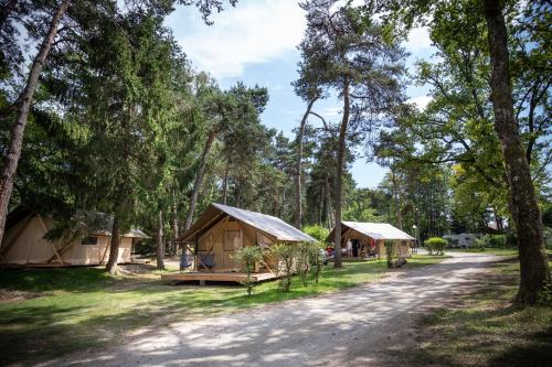 camping la pinede