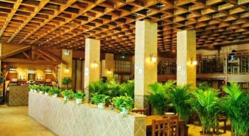 greentree inn luoyang henan university of science and technology